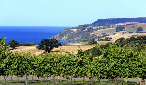 Mallavale Farm, Boat Harbour - ACT Tourism 0