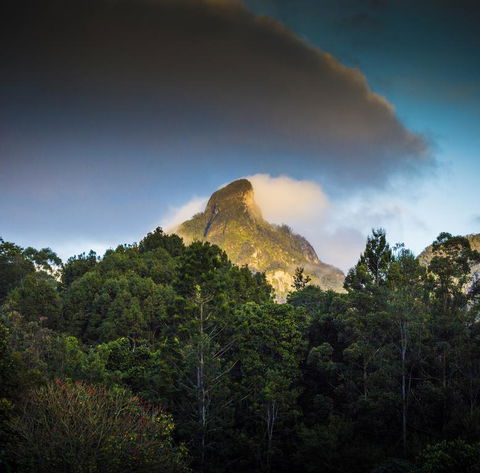 Mavis's Cabins @ Mt Warning - ACT Tourism 1