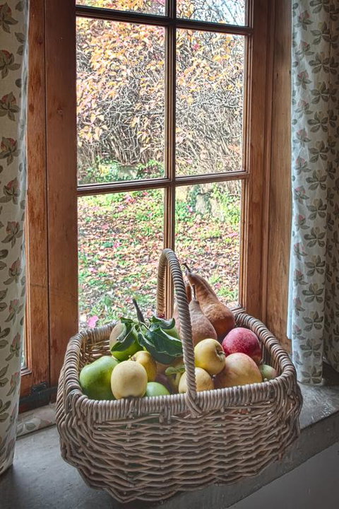 McCauley's Cottage - ACT Tourism 3