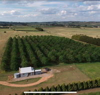 Millthorpe Truffles - Gorgeous getaway for 2