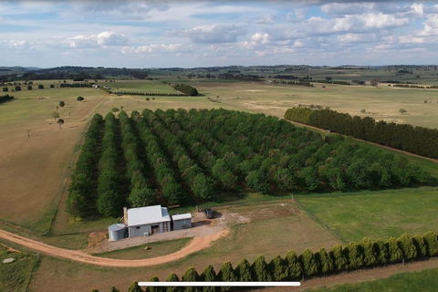 Millthorpe Truffles - Gorgeous Getaway For 2 - ACT Tourism 0