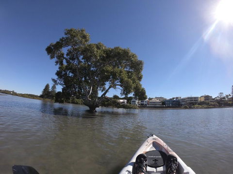 Moreton Bay Beach Lodge - ACT Tourism 1