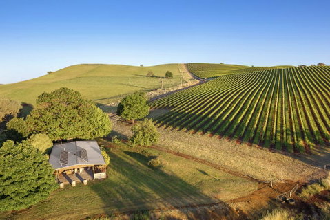 Mt Bellevue - ACT Tourism 0