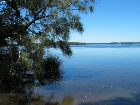 Myall River Magic - ACT Tourism 1