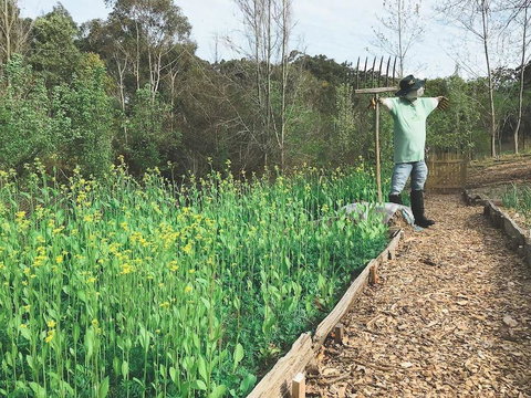 Mylor Farm, Adelaide Hills - ACT Tourism 1