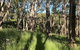Mylor Farm, Adelaide Hills - thumb 0