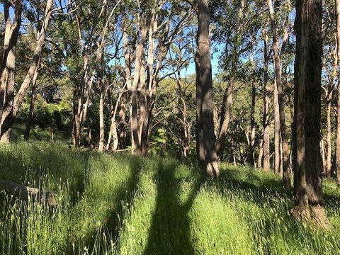 Mylor Farm, Adelaide Hills - ACT Tourism 0