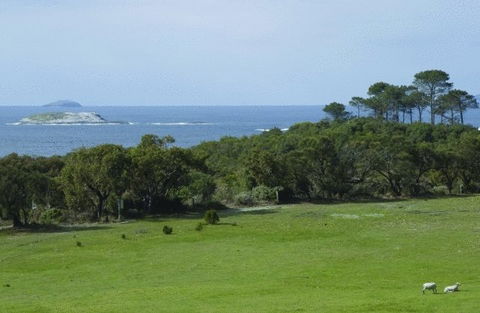 Cosy Corner Sea View Apartments - ACT Tourism 7
