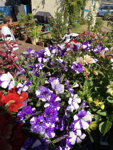 1849 Backpackers Albany - ACT Tourism 15