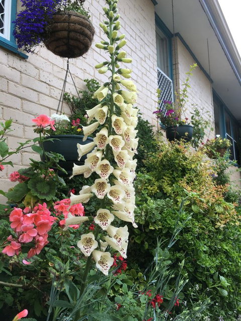 1849 Backpackers Albany - ACT Tourism 32