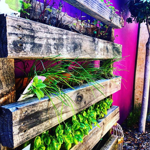 BeachHideaway@Scarborough - ACT Tourism 11