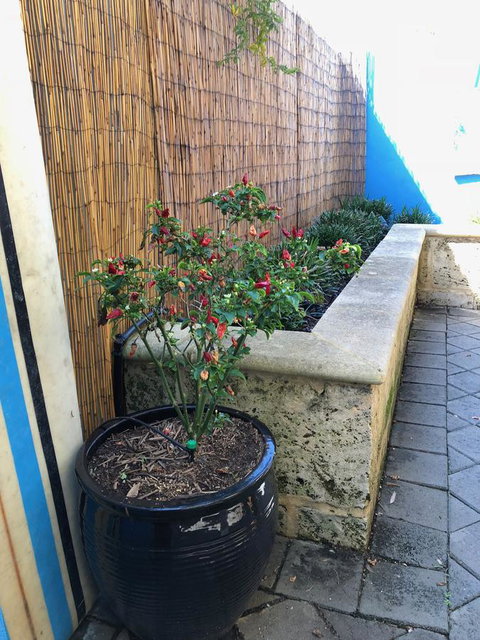 BeachHideaway@Scarborough - ACT Tourism 33