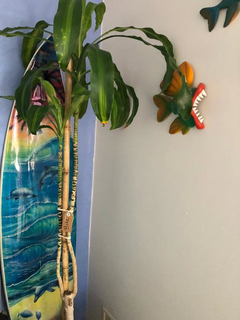 BeachHideaway@Scarborough - ACT Tourism 28