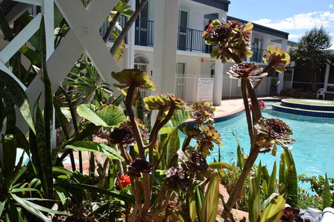 Seashore Memories - Sleeps 3 - ACT Tourism 14