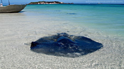 Turner Brook Chalet - ACT Tourism 3