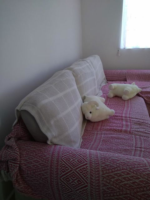 DIANELLA Budget Rooms Happy Place To Stay - ACT Tourism 29