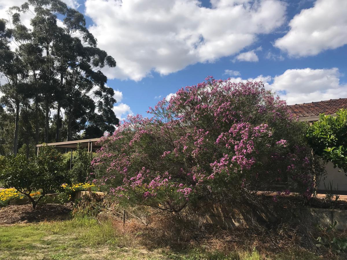 Yangebup WA ACT Tourism