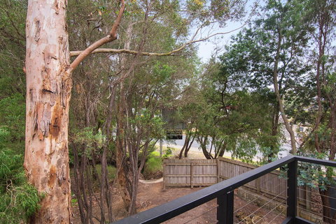 Margarets Forest - ACT Tourism 12