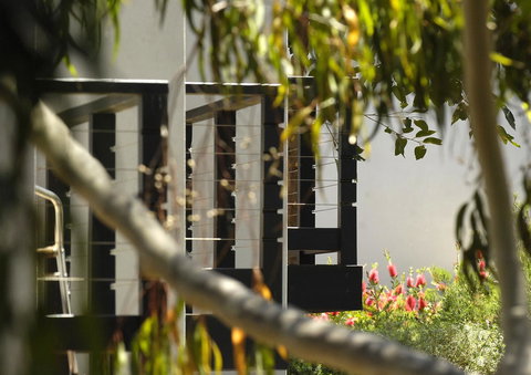 Margarets Forest - ACT Tourism 42