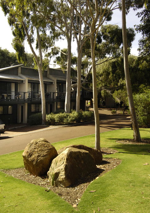 Margarets Forest - ACT Tourism 34