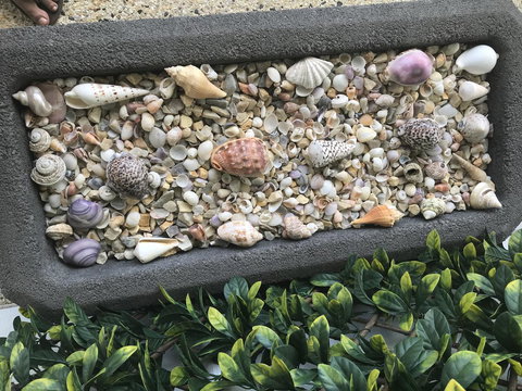 Beach House At SeaScapes.. - ACT Tourism 27