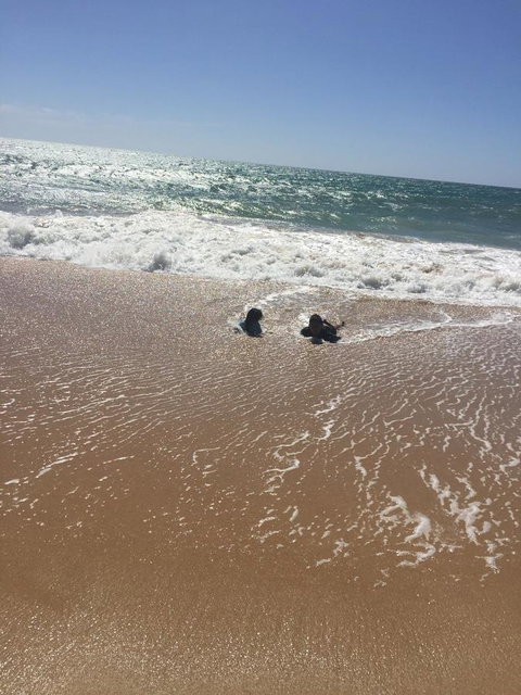 Beach House At SeaScapes.. - ACT Tourism 30