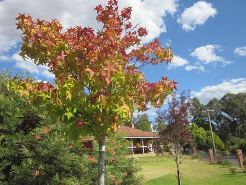 Bridgetown Valley Lodge - ACT Tourism 40