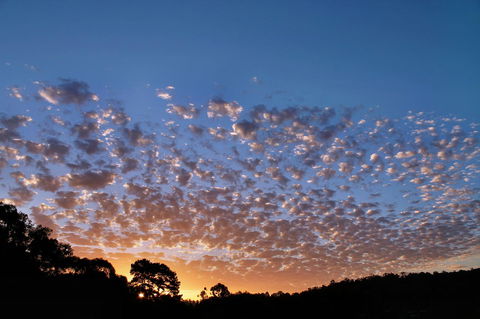 Bridgetown Valley Lodge - ACT Tourism 6