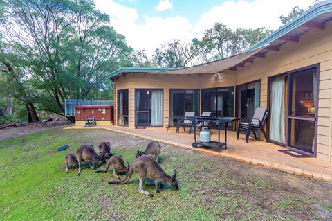 Yelverton Brook Conservation Sanctuary - ACT Tourism 18