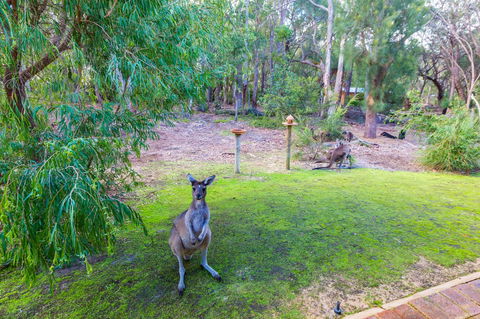 Yelverton Brook Conservation Sanctuary - ACT Tourism 11