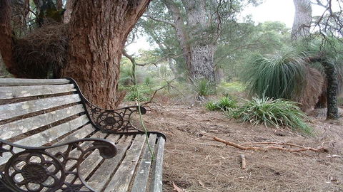 Yelverton Brook Conservation Sanctuary - ACT Tourism 42