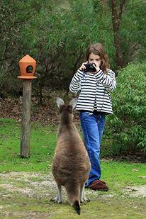 Yelverton Brook Conservation Sanctuary - ACT Tourism 39