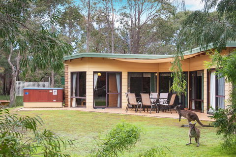 Yelverton Brook Conservation Sanctuary - ACT Tourism 20