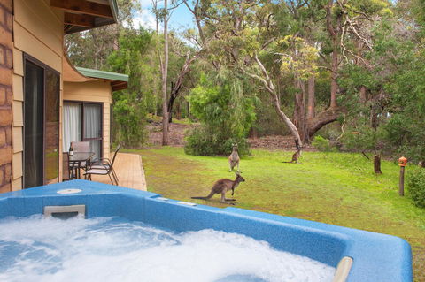 Yelverton Brook Conservation Sanctuary - ACT Tourism 9