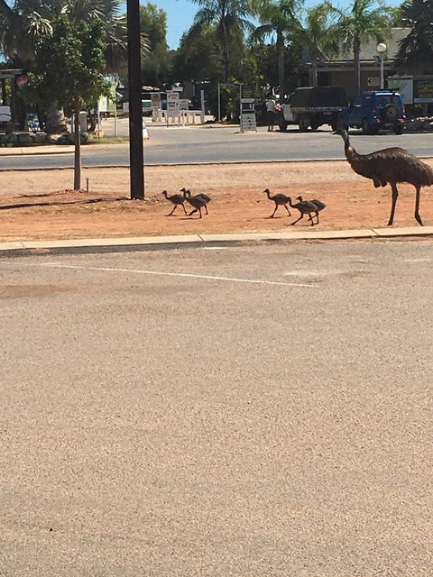 Exmouth 4 Escape - ACT Tourism 22