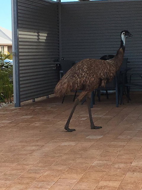 Exmouth 4 Escape - ACT Tourism 23