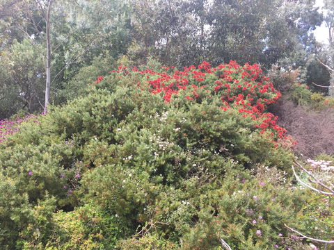 Tegwan's Nest Holiday Home - ACT Tourism 42
