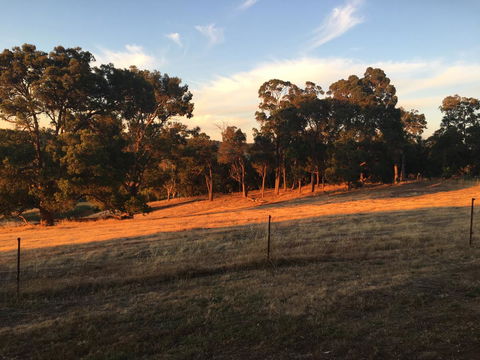 Tegwan's Nest Holiday Home - ACT Tourism 18