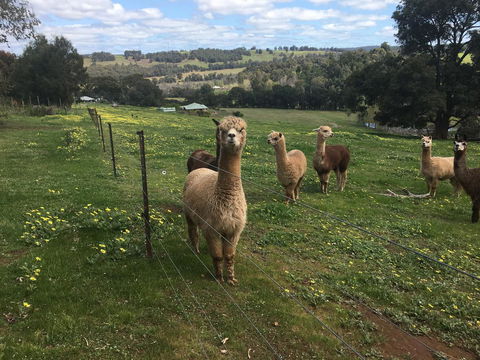 Tegwan's Nest Holiday Home - ACT Tourism 44