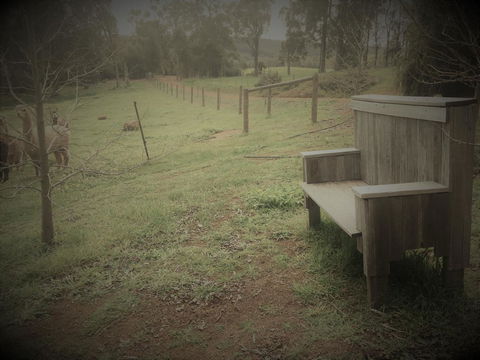 Tegwan's Nest Holiday Home - ACT Tourism 43