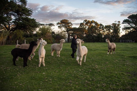 Celestine Retreat - ACT Tourism 6