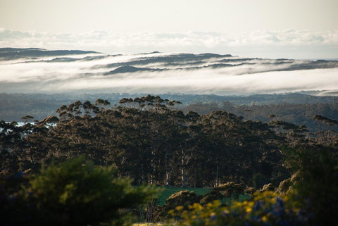Celestine Retreat - ACT Tourism 13