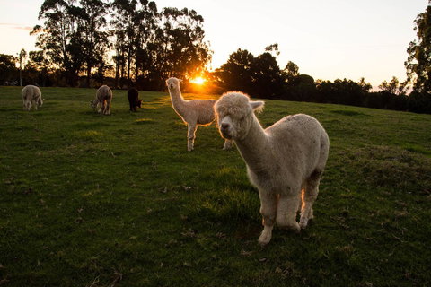 Celestine Retreat - ACT Tourism 2