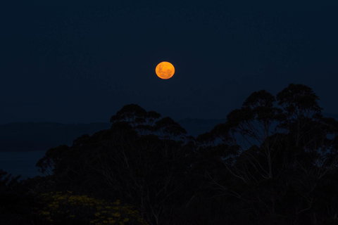 Celestine Retreat - ACT Tourism 11