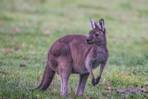 Celestine Retreat - ACT Tourism 4