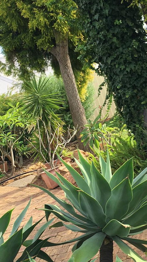 Armadale Cottage Bed & Breakfast - ACT Tourism 1