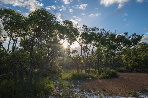 Cape Howe Cottages - ACT Tourism 1