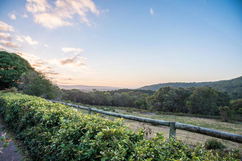 Cape Howe Cottages - ACT Tourism 29