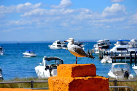 Palms Bed & Breakfast - ACT Tourism 25