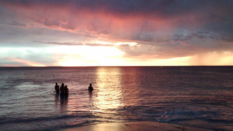 Palms Bed & Breakfast - ACT Tourism 24